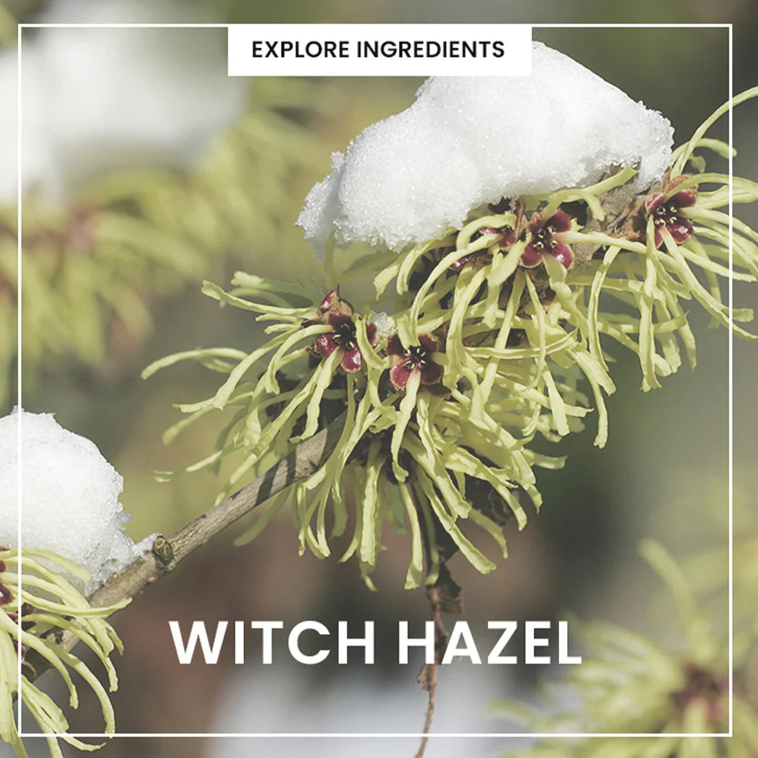 Heimish All Clean Green Foam 150ml (Cleansing Foam) - luut