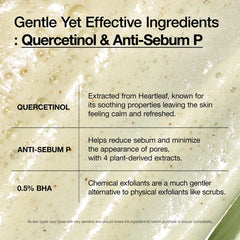 ANUA Heartleaf Quercetinol Pore Deep Cleansing Foam - luut