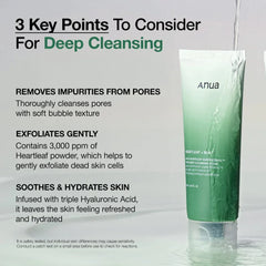 ANUA Heartleaf Quercetinol Pore Deep Cleansing Foam - luut
